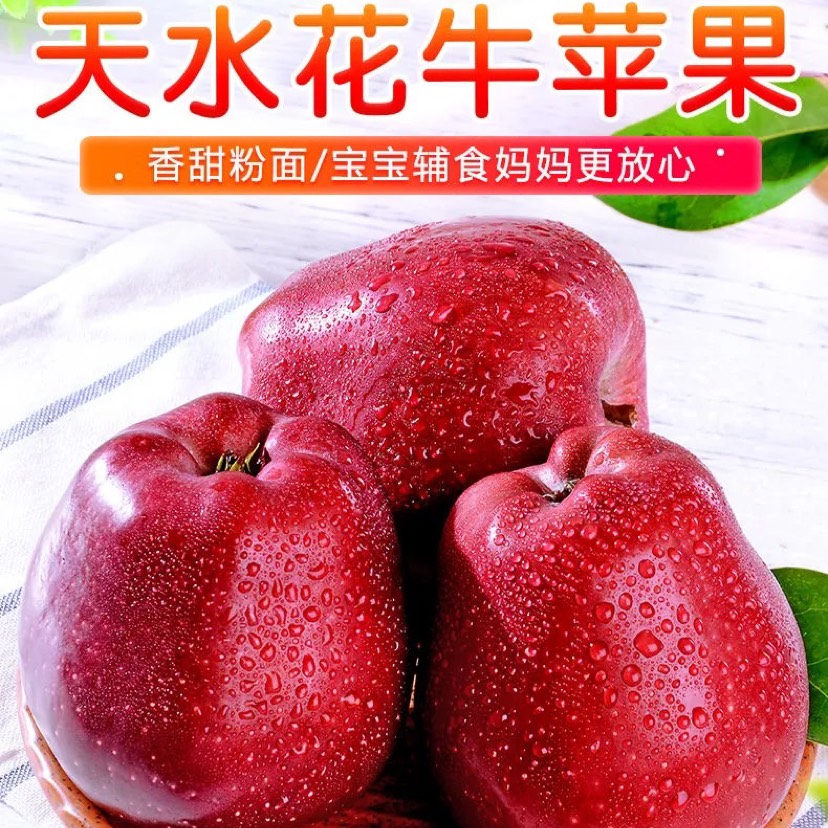 清水县【甘肃天水】花牛苹果新鲜泥粉面应季水果批发当季5/10斤整箱