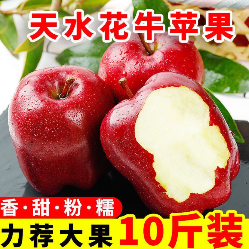 清水县甘肃天水花牛苹果整箱5/10斤新鲜水果当季果刮泥粉面苹果批发