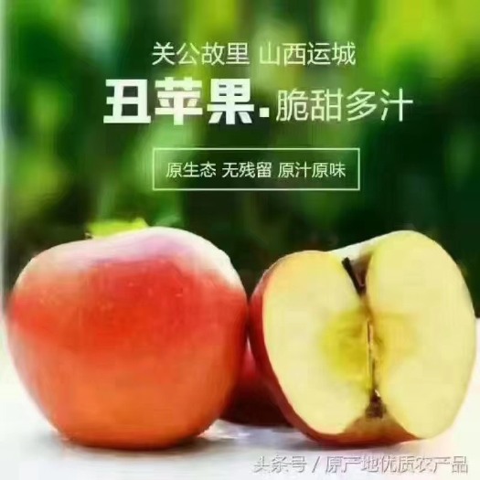 运城红富士苹果 正宗山西冰糖心苹果