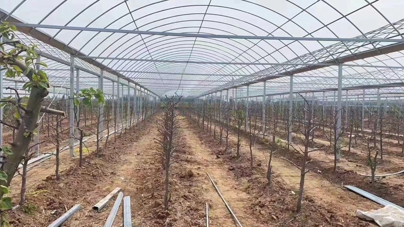 天津 天津大棚管生产厂家