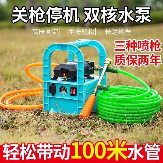 烟雾弥雾机  电动喷雾器手提式农用充电打药机多功能高压隔膜洗