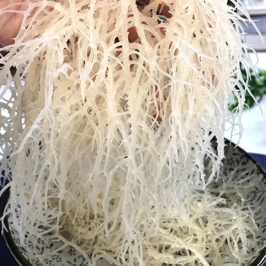 龙须菜批发凉拌菜凉菜凉拌素食素菜配菜海石花鹿角菜长寿菜海藻