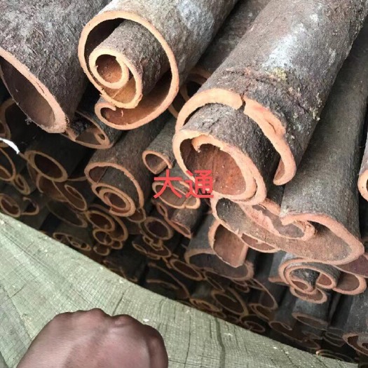 平南县中通桂皮 大通