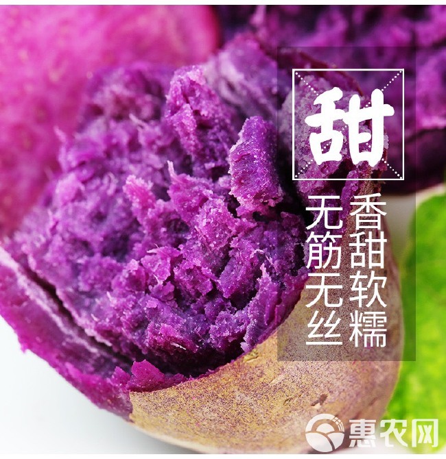 紫薯新鲜番薯地瓜农家蜜薯珍珠紫罗兰沙地薯糖心山芋包邮