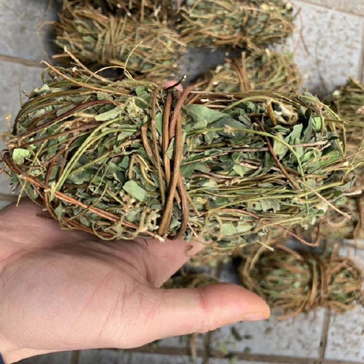 大化县鸡骨草，新货