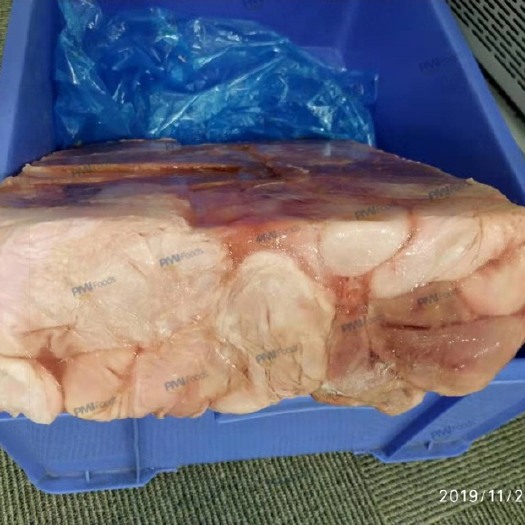 深圳 生猪肚
