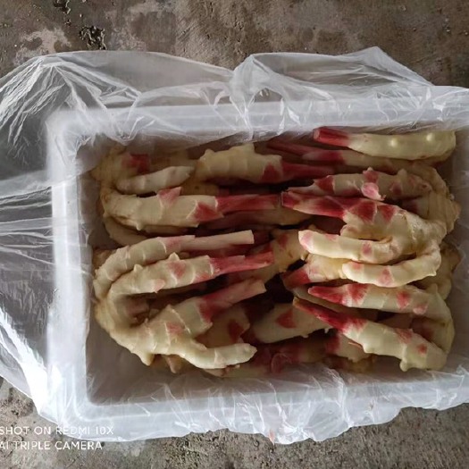 景洪市仔姜 嫩姜，生姜