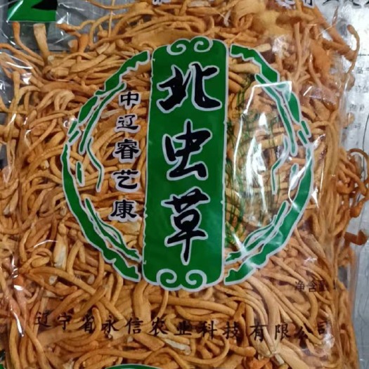 灯塔市北虫草、虫草花，基地直销，现采现发，检测报告齐全，无硫