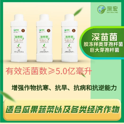 深圳复合微生物菌剂  深苗菌