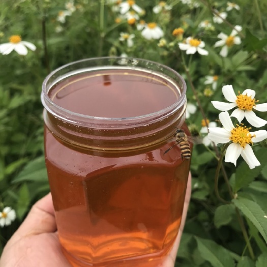 湛江 批发蜂蜜纯正天然农家自产正品百花蜜土蜂蜜