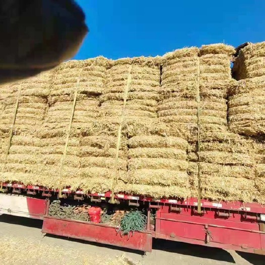 天津 铡短稻草二次加工过筛除尘要干净就来找我