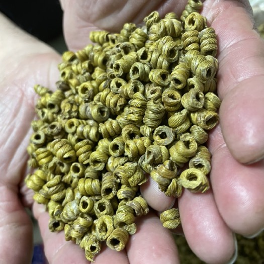 霍山铁皮石斛石斛枫斗端午礼盒，高端品质礼盒，精选