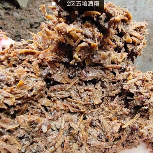 泗洪县 酒糟