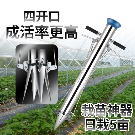 种瓜栽苗蔬菜栽苗器移栽栽菜工具烟苗种菜种辣椒移苗器种苗