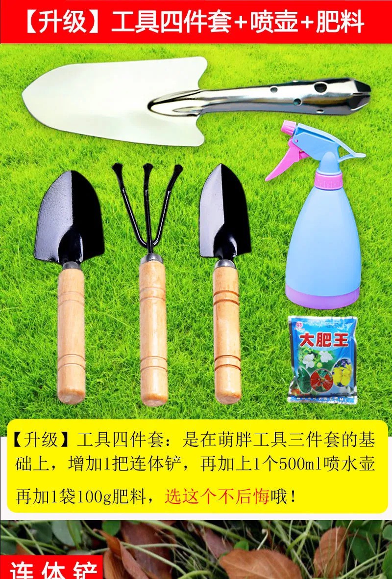 家用园艺工具三件套养花多肉植物种花盆栽种植松土铁锹小铲子套装