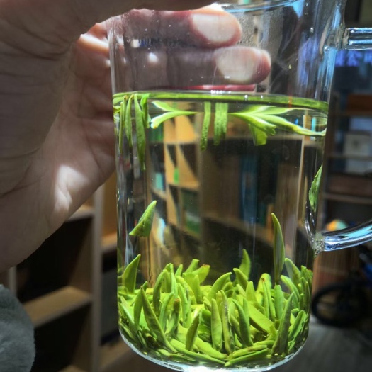 恩施市云雾茶  恩施贡芽
