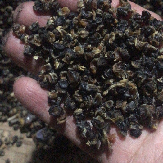 潜江市螺肉。石螺干。