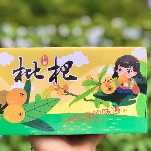 成都大五星枇杷 现摘龙泉五星枇杷果