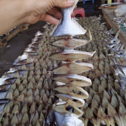 江门金鲳鱼干