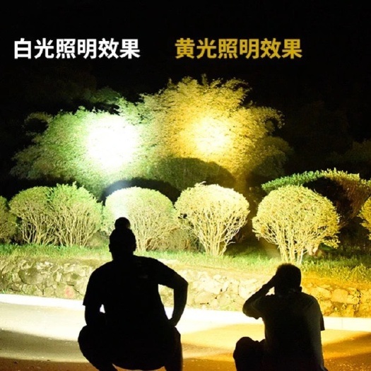 植物补光灯 LED头灯强光超亮头戴式手电筒户外家用远射充电夜