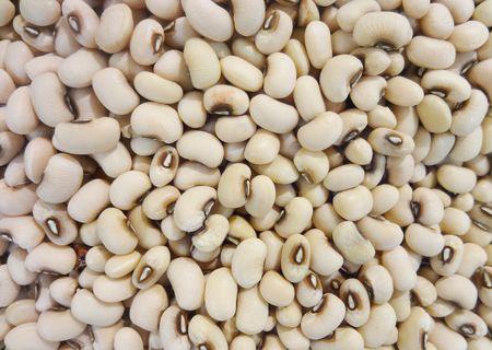 瑞丽市江豆  眉豆，饭缸豆，产地直供，净货，通货，现货供应