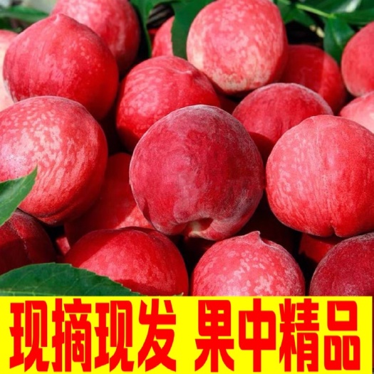 枣阳市露天毛桃，品种多，货量大。欢迎咨询选购。