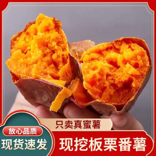潜山市沙地红心蜜薯红薯地瓜番薯烤红薯软糯香甜包邮