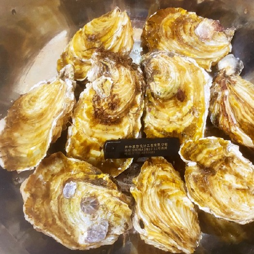徐闻县三倍体生蚝 特粉，特爽口，正宗湛江徐闻货。