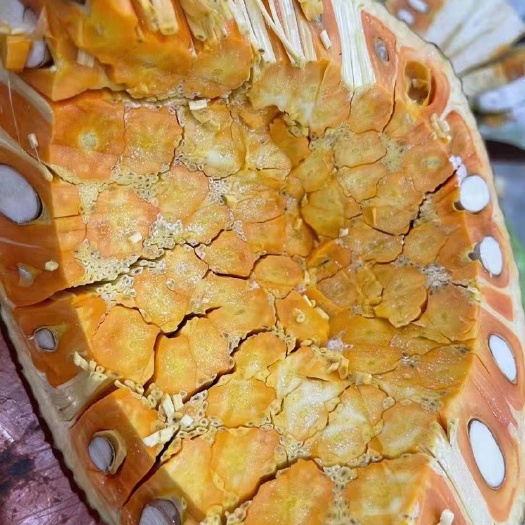 崇左 越南红肉干苞菠萝蜜，产地工厂直供，欢迎洽谈