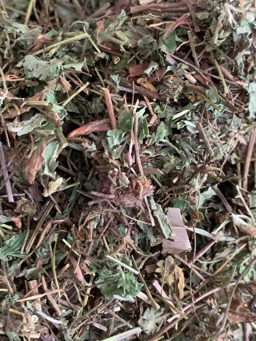 蛇莓  、两斤起发货、支持线上交易、量大从优