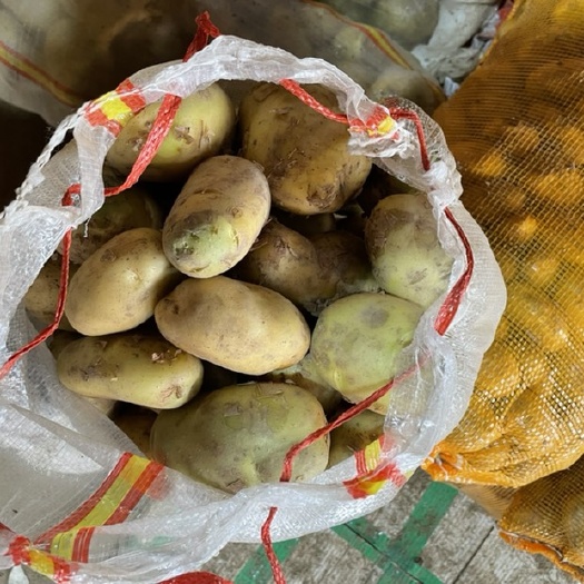  水货土豆 淀粉货 食堂货