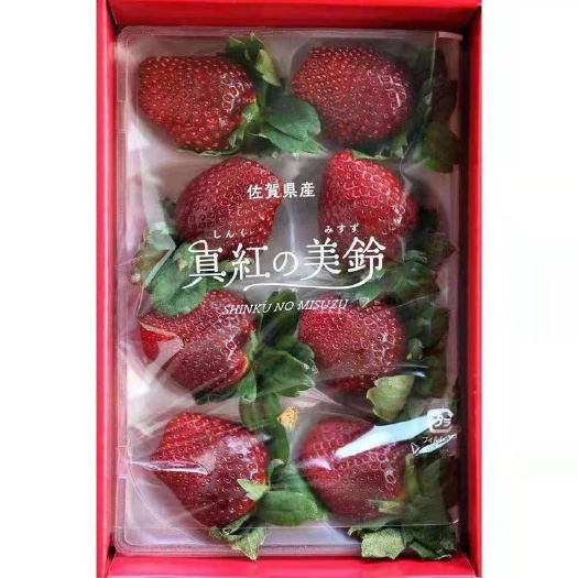 锦州真红美玲黑草莓  黑草莓黑珍珠真红美玲草莓种苗（非大凉山黑珍珠）全国发货