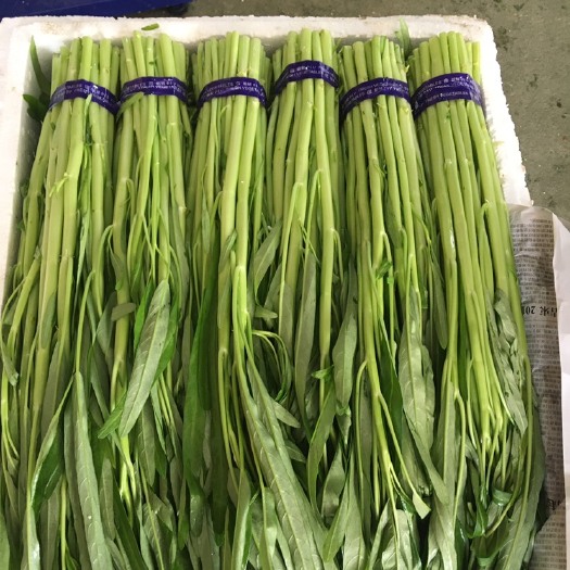 漳州 空心菜