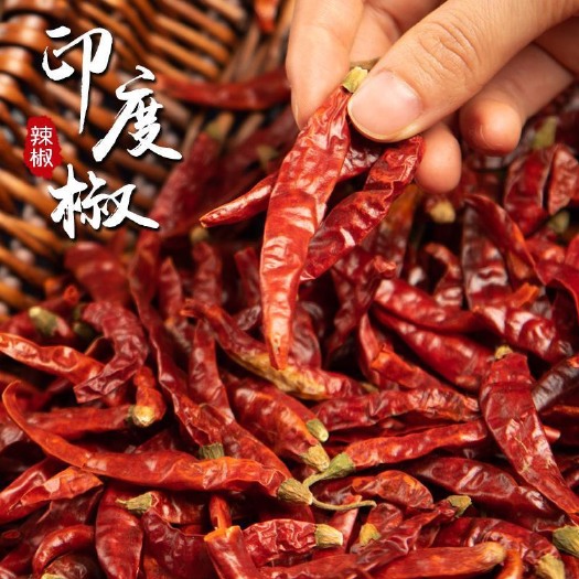 滕州市干辣椒  印度魔鬼椒，大量货，够辣够精品