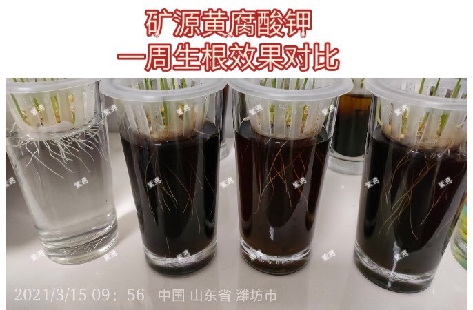潍坊叶面肥  厂家直销，保真保效果。实实在在做好生产供应和服务。