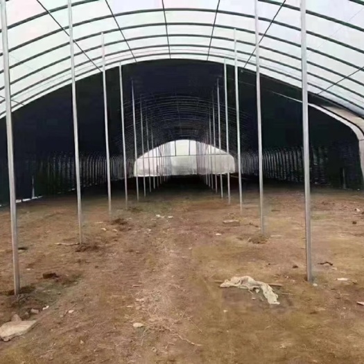 天津种植大棚  养植大棚骨架及配件