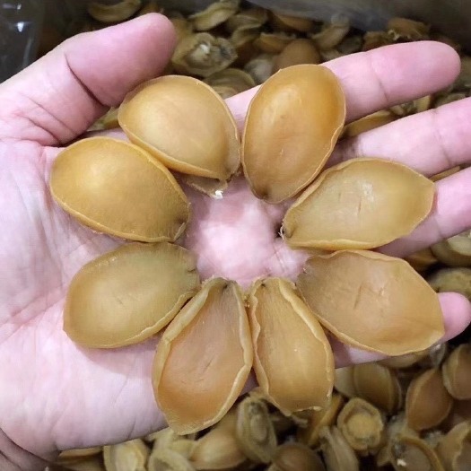 阳江 60头鲍鱼干新靓货  特卖348斤