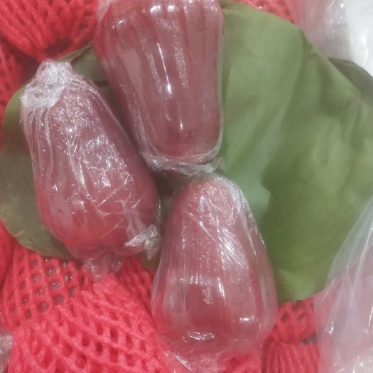 凭祥市 黑金刚莲雾 支持一件代发