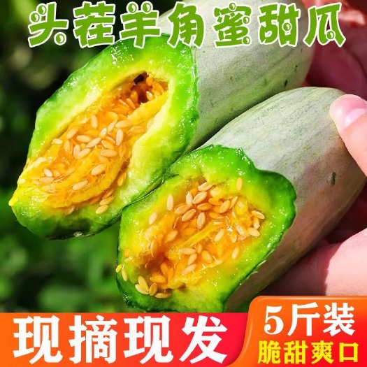 莘县山东头茬羊角蜜甜瓜新鲜孕妇水果批发超酥甜哈蜜脆瓜香瓜现摘博洋