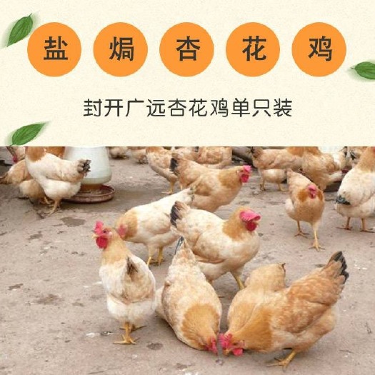 封开县 封开杏花鸡