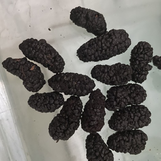 盐边县优质桑葚