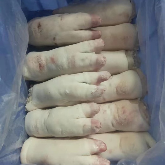带筋母猪蹄一级，猪手，猪脚证件齐全