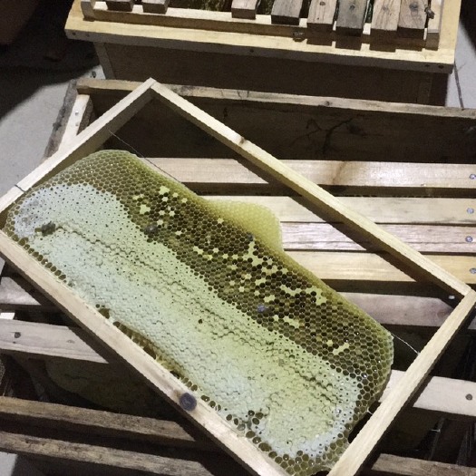 上思县农家土蜂蜜