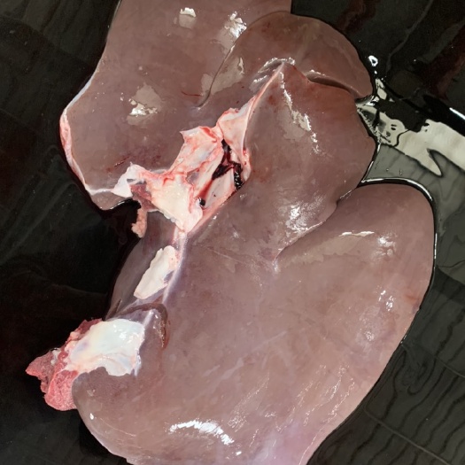 兰陵县新鲜驴马肝生驴肝马驴肝新鲜肉真空新鲜驴肉现宰火锅饭店食材驴特