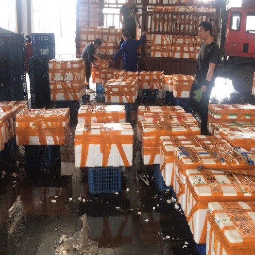潜江市潜江小龙虾批发