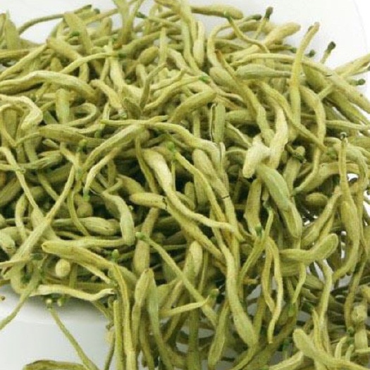 临西县 金银花