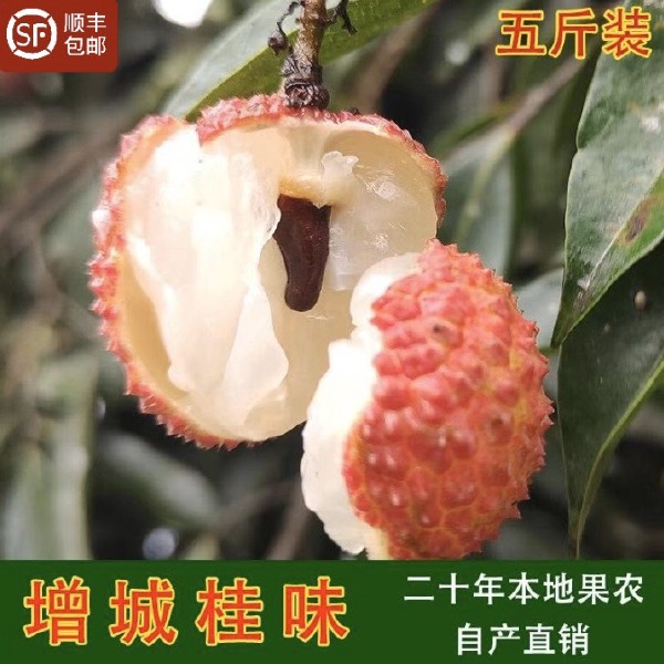 增城荔枝~鲜摘现发(增城桂味、糯米糍、先进奉)果大核小