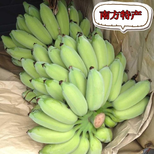 香蕉  粉焦