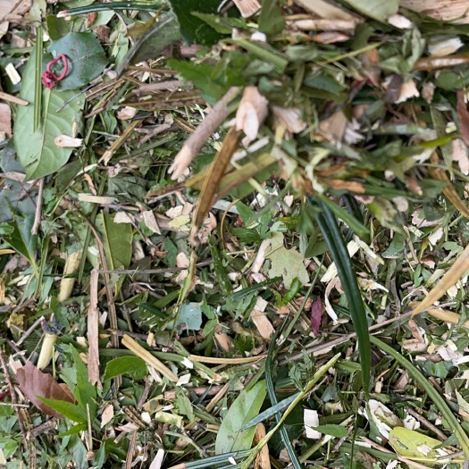 平湖市 树枝树叶粉碎销售