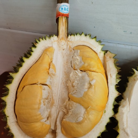 广州金枕榴莲  康瑶金榴莲！香甜糯滑！！